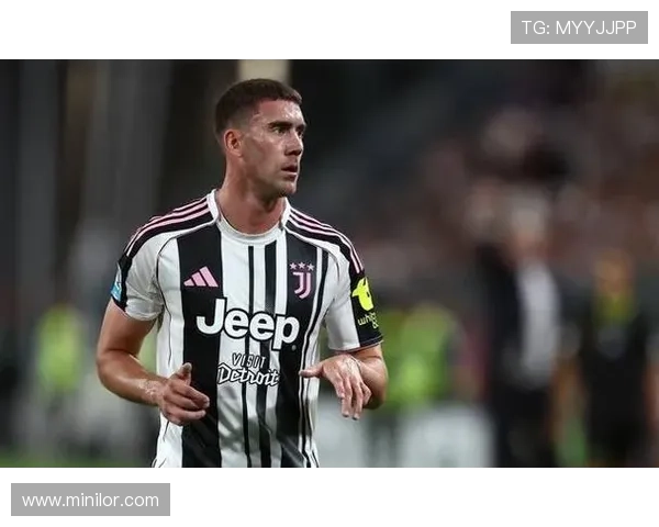 弗拉霍维奇稳定输出