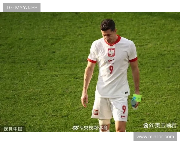 欧洲杯莱万遗憾